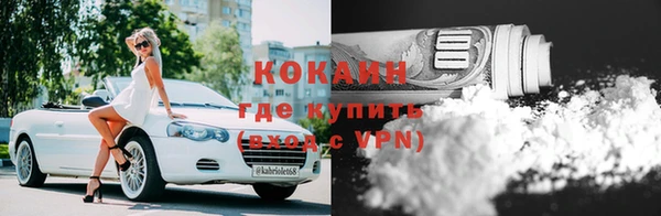 гидропоника Новозыбков