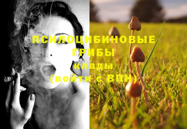 хмурый Новодвинск