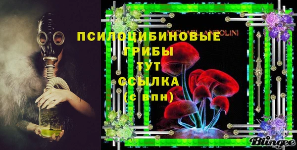 гидропоника Новозыбков