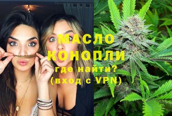дмт Няндома