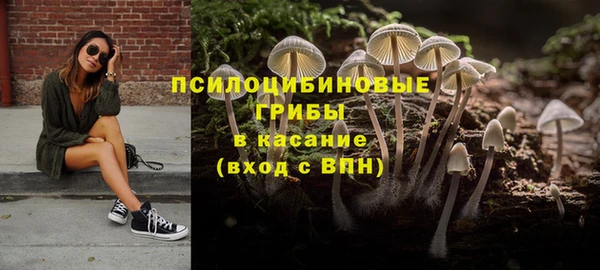 гидропоника Новозыбков
