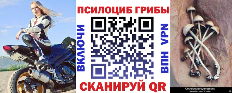 Псилоцибиновые грибы Magic Shrooms  mega ссылки  Костерёво 